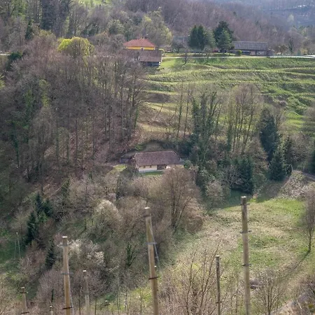Vila Dolina Miru Zavrc